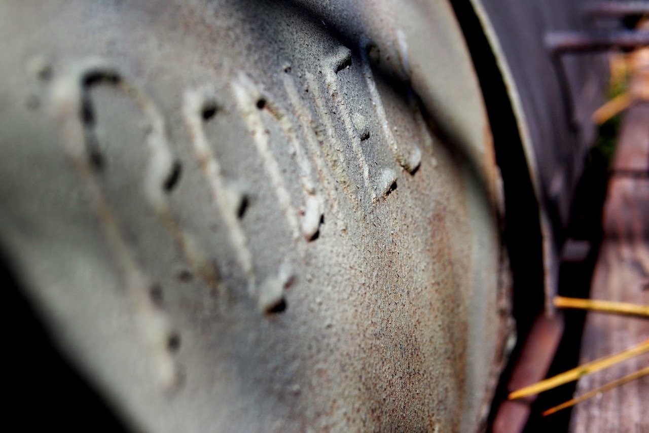 Groß (072-P1010146)